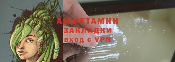 трава Аркадак