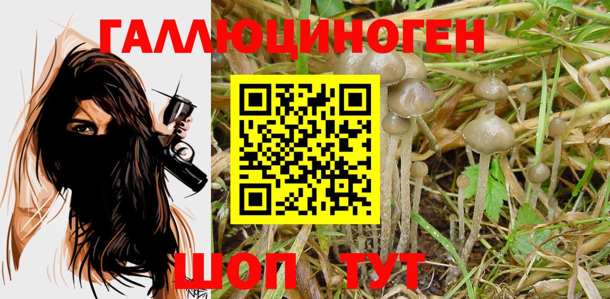 Борзя  Галлюциногенные грибы MAGIC MUSHROOMS  Вход с VPN  Галлюциногенные грибы мухоморы 